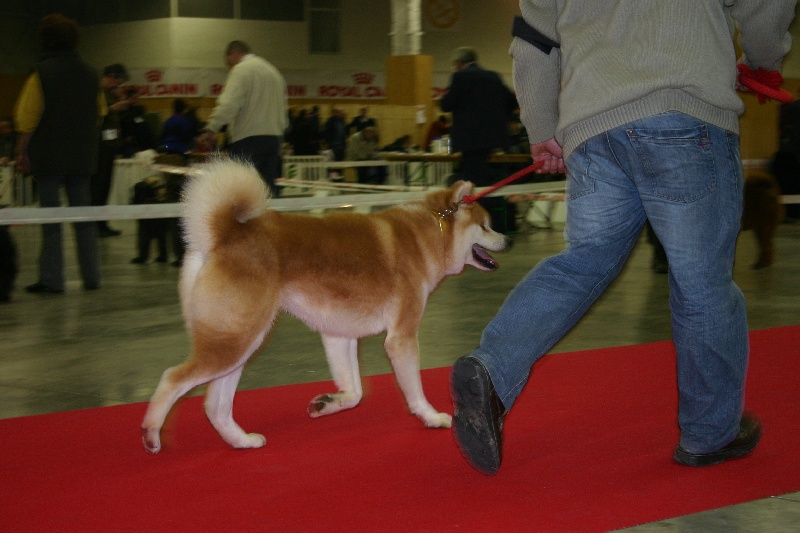 B'kasumi go De la vallee des dragons sacres