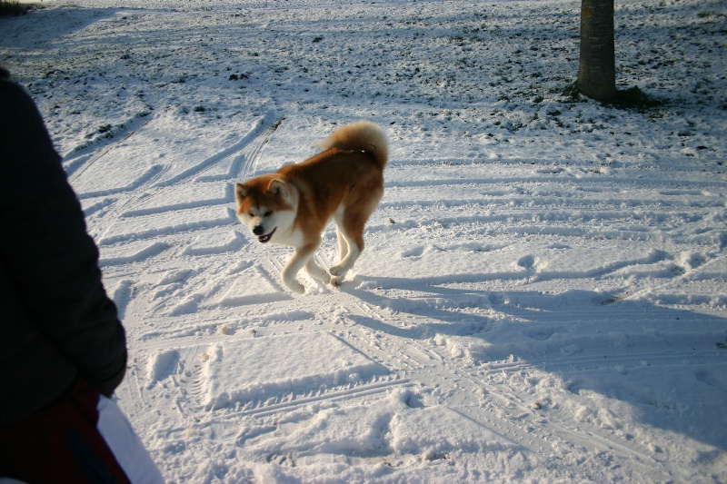 B'kasumi go De la vallee des dragons sacres