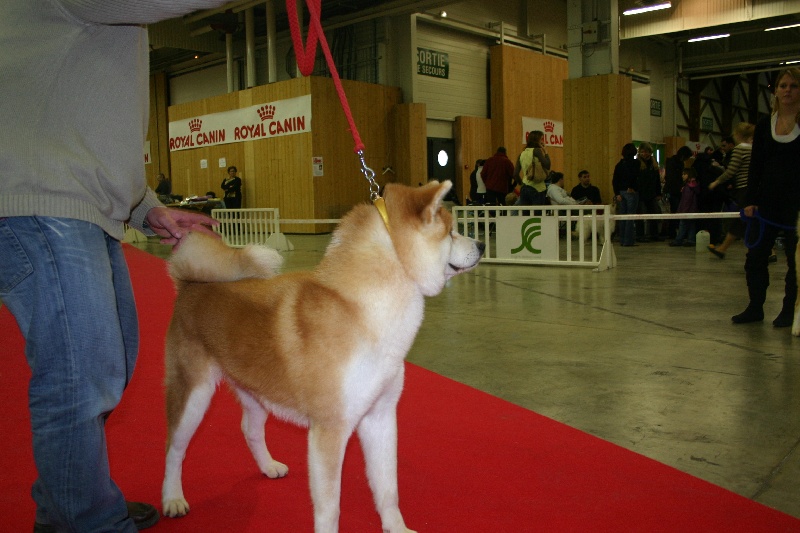 B'kasumi go De la vallee des dragons sacres