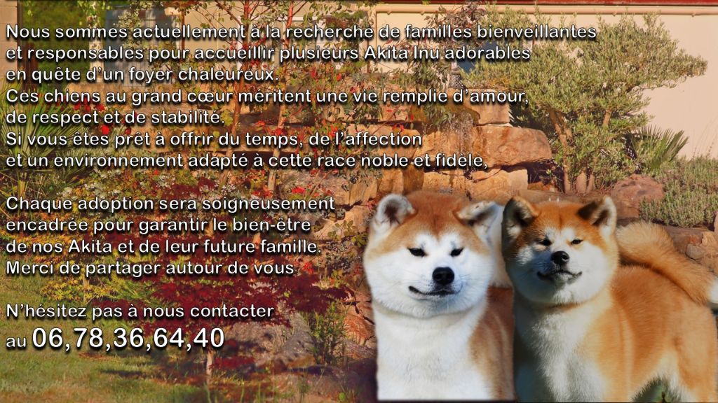 RECHERCHE FAMILLE POUR ADOPTION